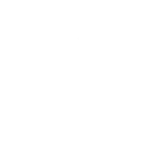 WCL Helmet